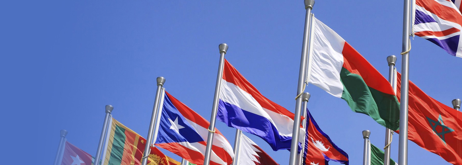 外贸多语建站-筑造全球品牌阵地,赋能企业出海增长